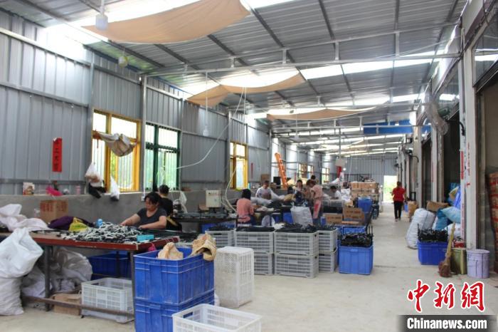 资料图:正安县安场镇兴庄居雨伞加工厂.正安县融媒体中心供图