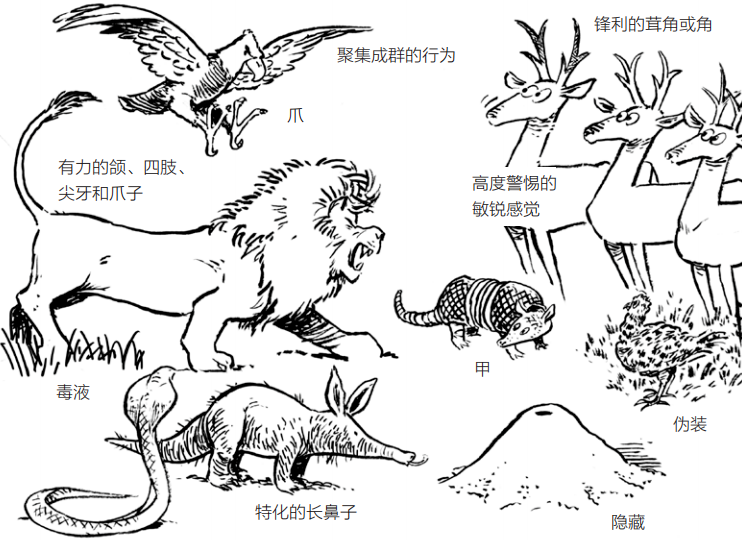 你的态度和行为,可能取决于肠道里的微生物!丨蝌学荐书