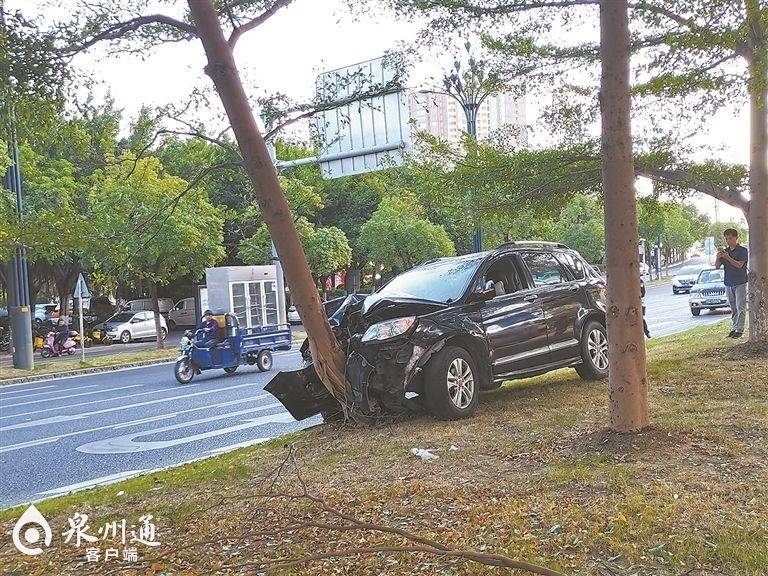 开车时异物迷眼,忘减速撞断大树|泉州_新浪新闻