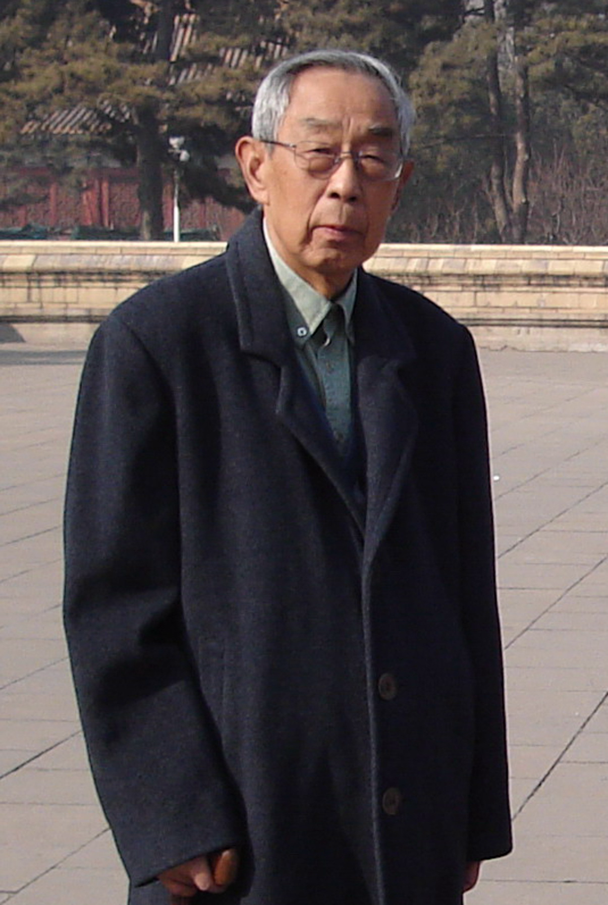 陈乐民先生2007年在太庙