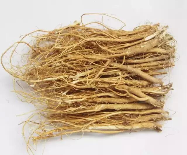 它的根是一种药食两用的食材，客家人通常用来煲汤，非常滋补！|小编|作用|排骨汤|价值|排骨_新浪新闻