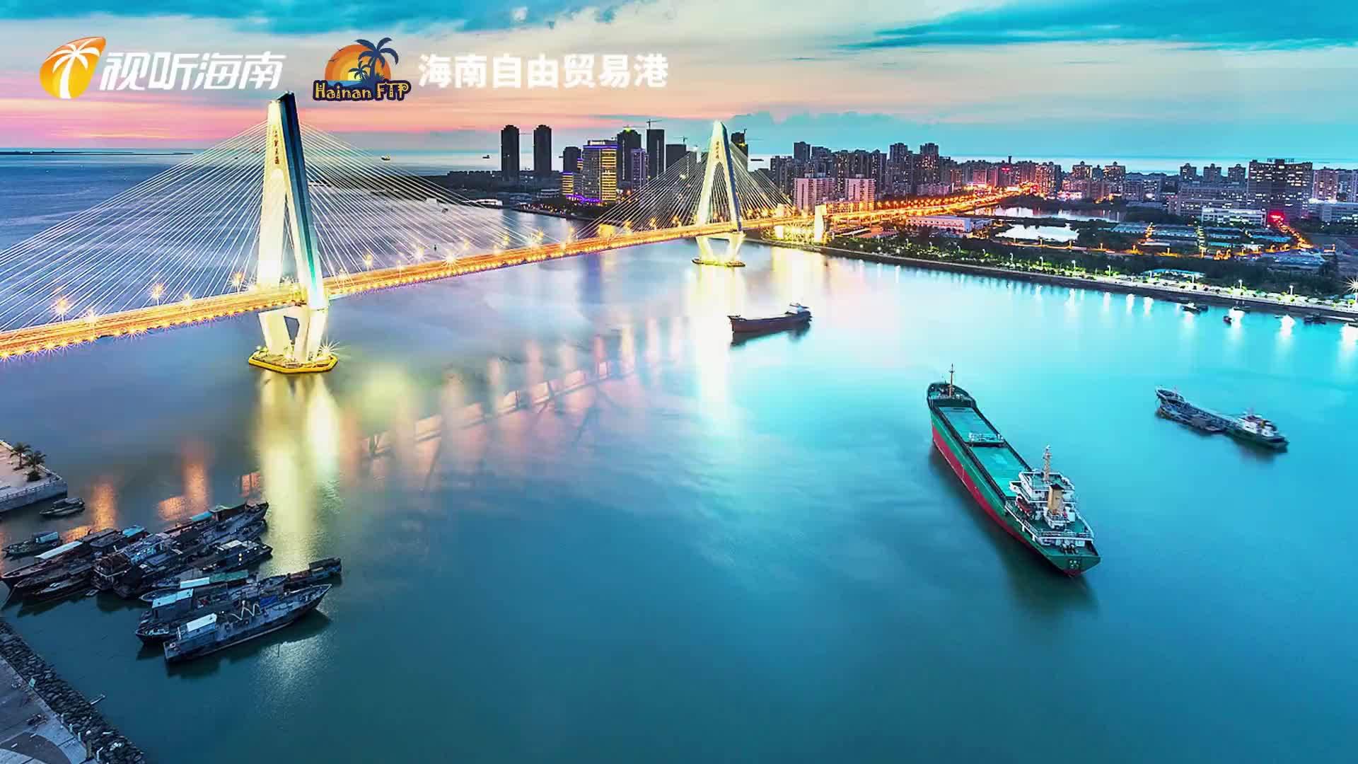 海南自贸港招商贸易半年成绩超预期 1分钟看亮点