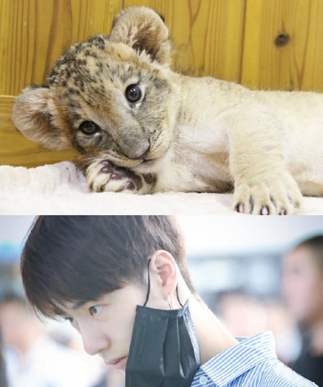 一博|舞台|王一博_新浪新闻