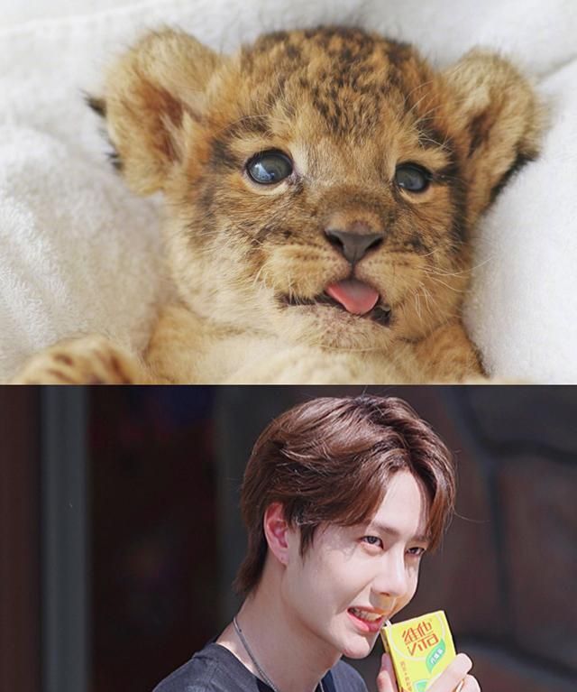 一博|舞台|王一博_新浪新闻