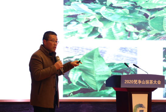 贵州大学精细化工研究中心副主任,教授,博士生导师陈卓代为作主旨演讲