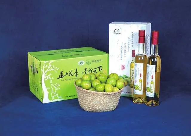 巫山脆李&nbsp;&nbsp;巫山县委宣传部供图