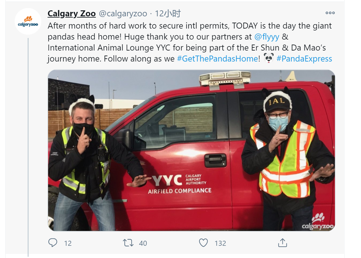 旅加大熊猫二顺大毛将返回中国，外国网友：难过，会想念它们