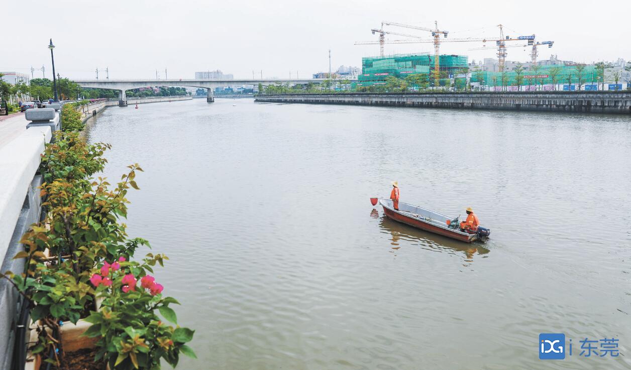 ■如今，茅洲河蝶变为生态优良、景观优美的形象河，沿岸已成为投资兴业的热土，越来越多的企业来此投资落地 （记者 郑琳东 摄）