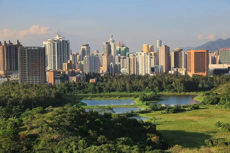 中一签赚500万！深圳楼市年尾惊现最牛“打新”