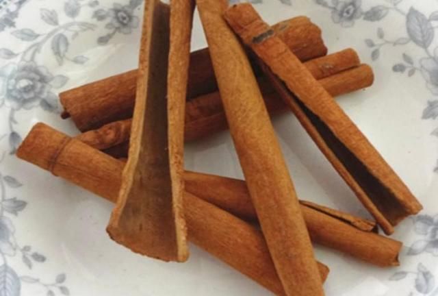 现在还能种植肉桂 肉桂什么时候种