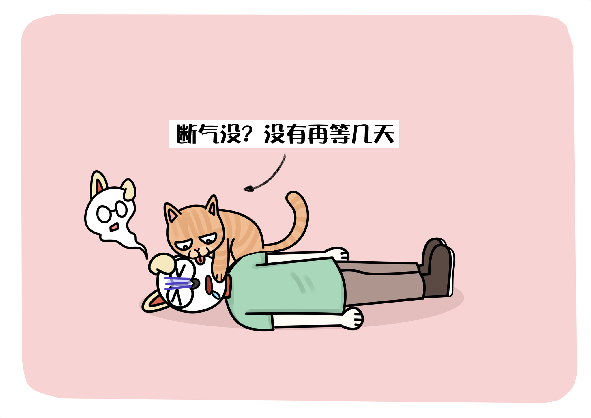 谁说猫养不熟还没良心?猫咪关心你的三种表现,快去奖励它们!