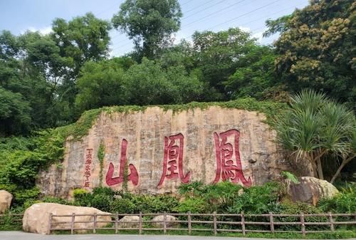 深圳宝安区有哪些值得打卡的景点?来深圳商务出差必看攻略