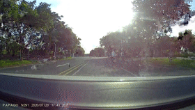 ▲PAPAGO行车记录仪 动图