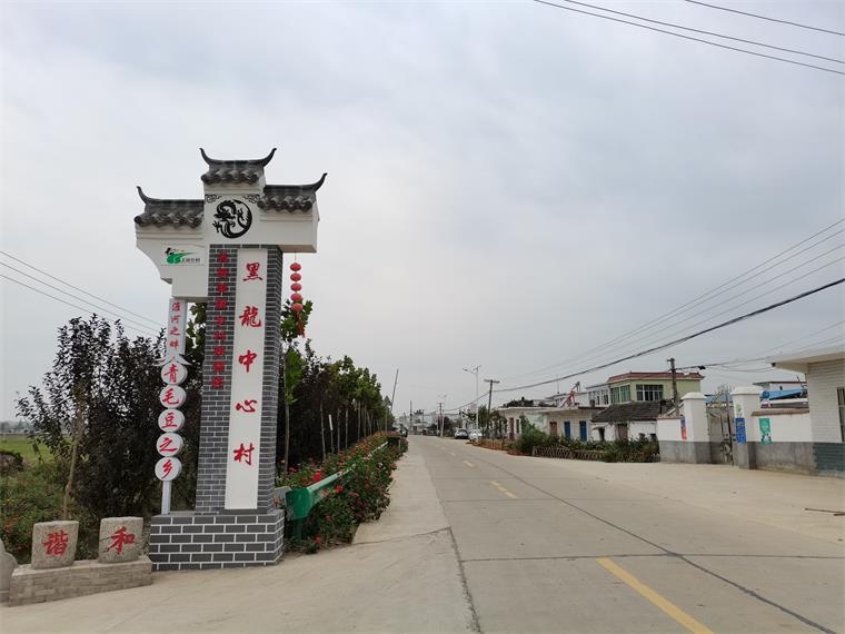 寿县涧沟镇黑龙村:喜看乡村旧貌换新颜