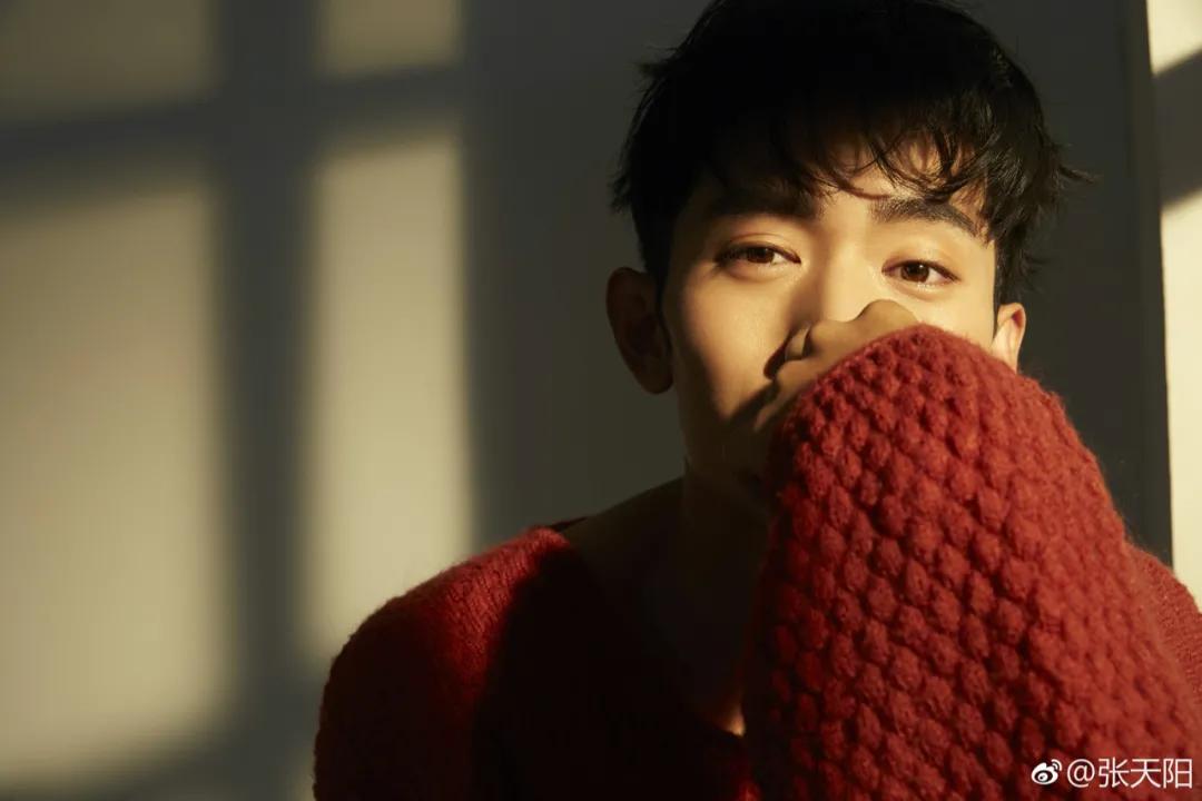 手握五部大制作待播剧的张天阳,到底是什么来头?