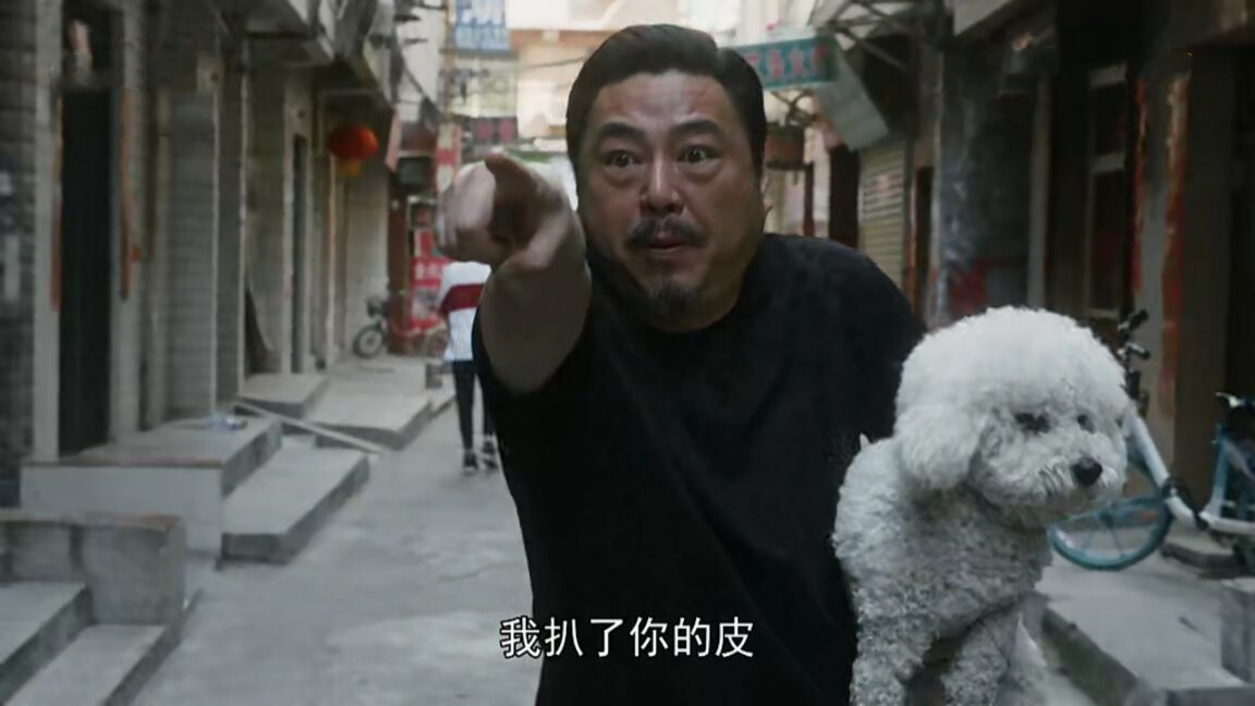 《装台》首播:张嘉益中年追爱,剧情台词接地气,喜