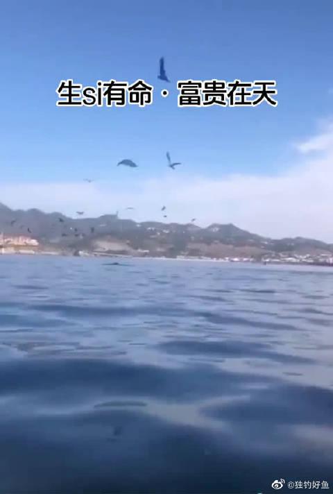 富贵在天第二十八集;春颜说不希望张德钢在因为责任而不开心了