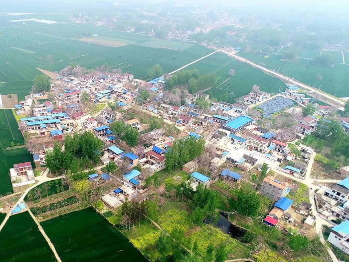 赵兰振的家乡,豫东平原景色 图片来源:后浪