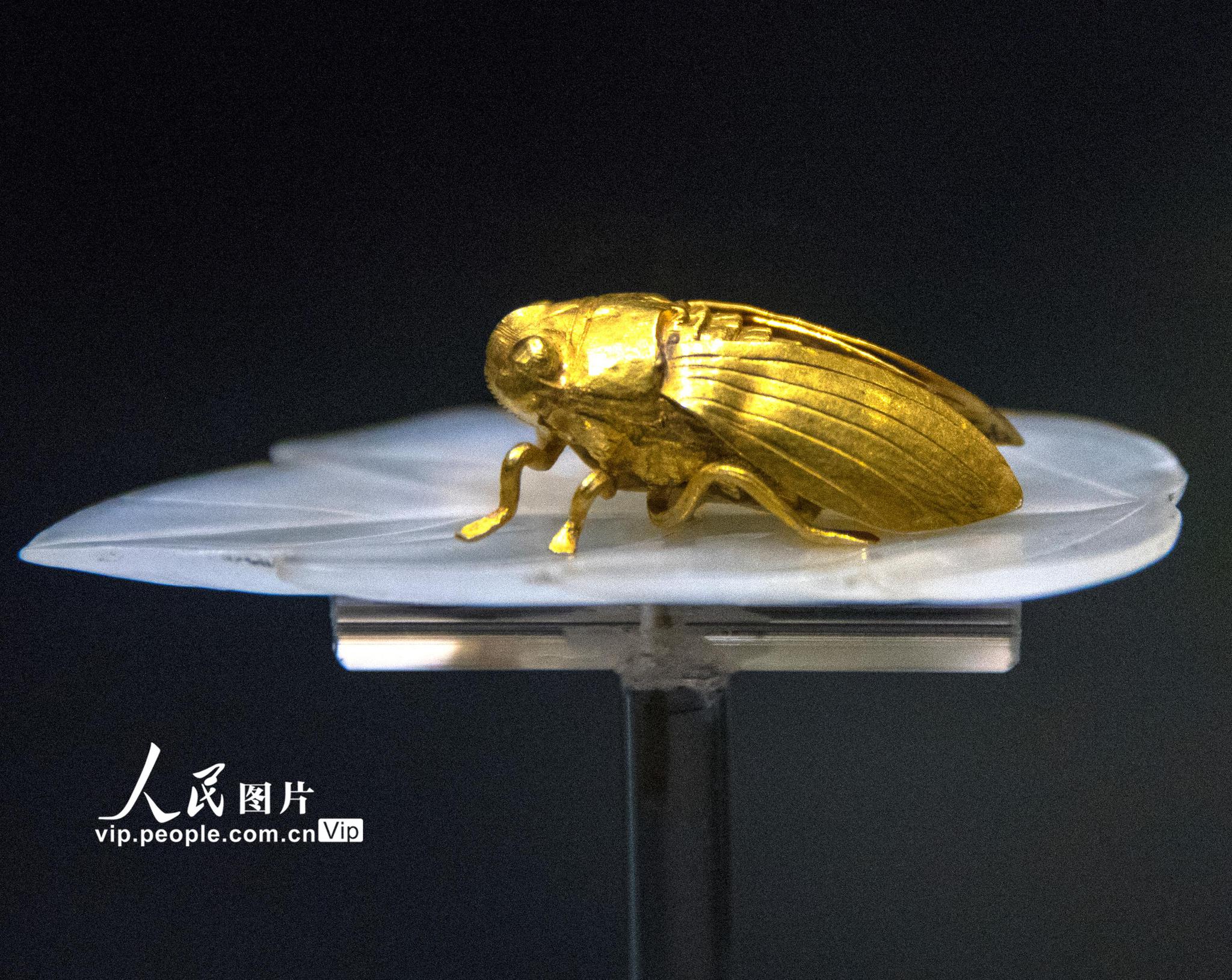 南京博物院镇馆之宝金枝玉叶亮相