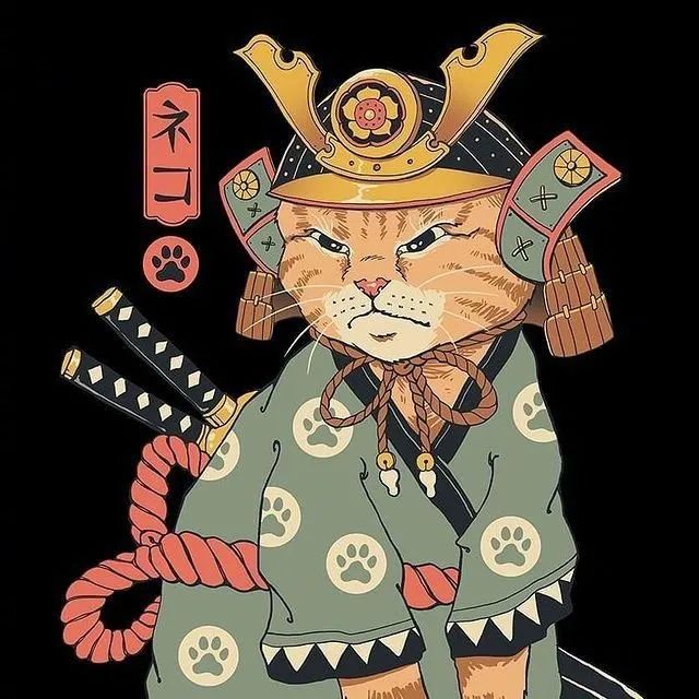 武士猫猫系列好酷有着天然的主子风范