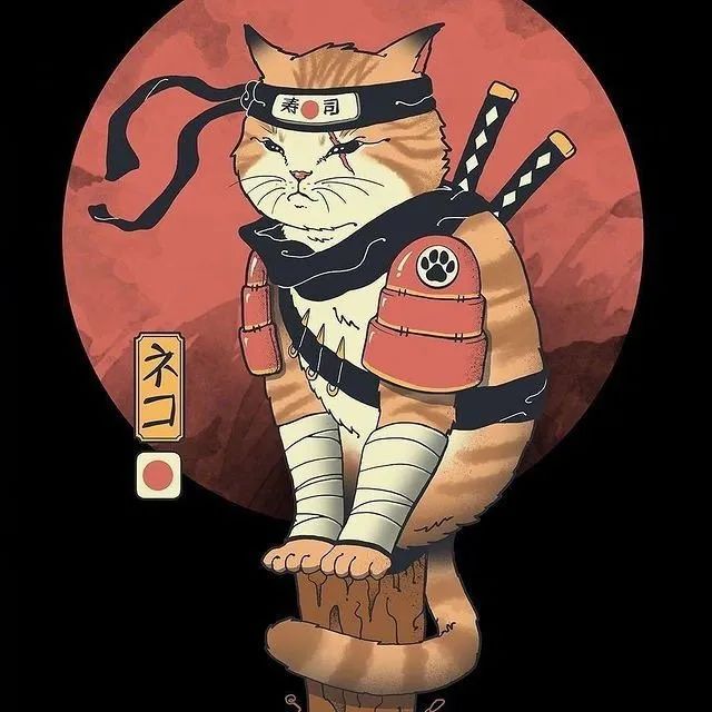 猫武士最帅气的公猫图片