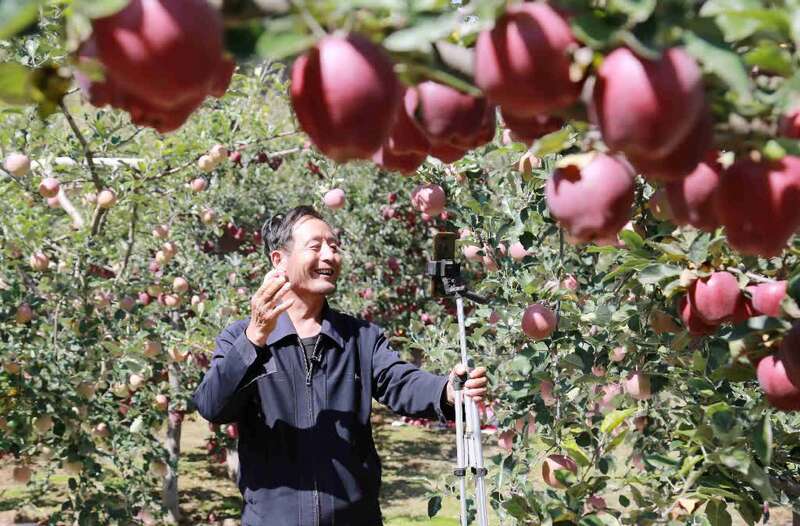 两个月时间里,张加成靠着一股勤奋认真的劲头学会直播,成为礼县年龄最