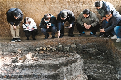 级大墓在河南洛阳徐阳墓地被发现,进一步印证了2600多年前陆浑戎迁徙