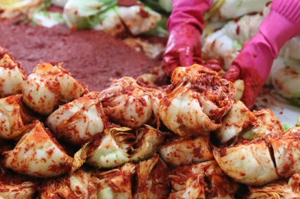 韩国泡菜资料图