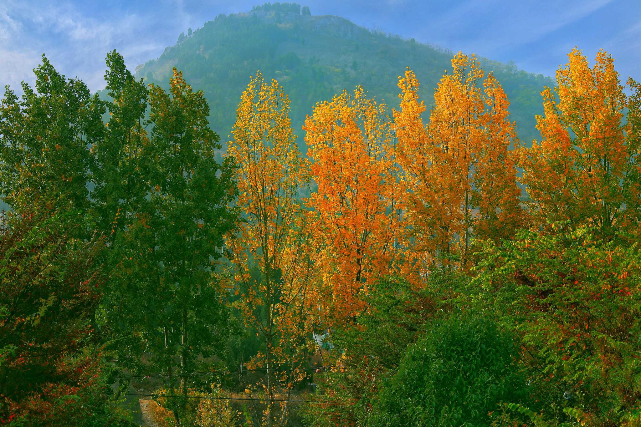 最美景色在晚秋