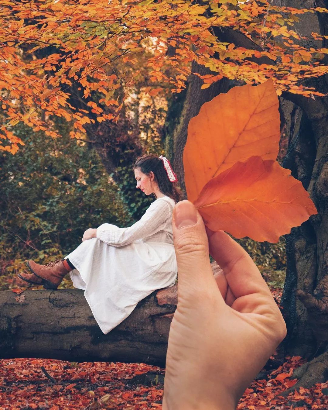 秋天落叶的5大创意拍法照片让人眼前一亮