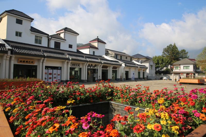 桐庐合村乡星空下的协商 全域旅游发展金点子不断