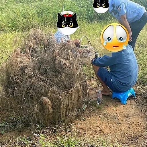 捉几只鸟没啥事?湛江遂溪这四人被刑拘!