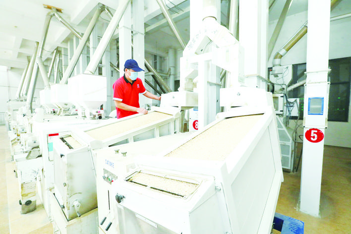 昨日,在盱眙县一家虾稻米生产车间里,智能数字化的全自动大米加工设备