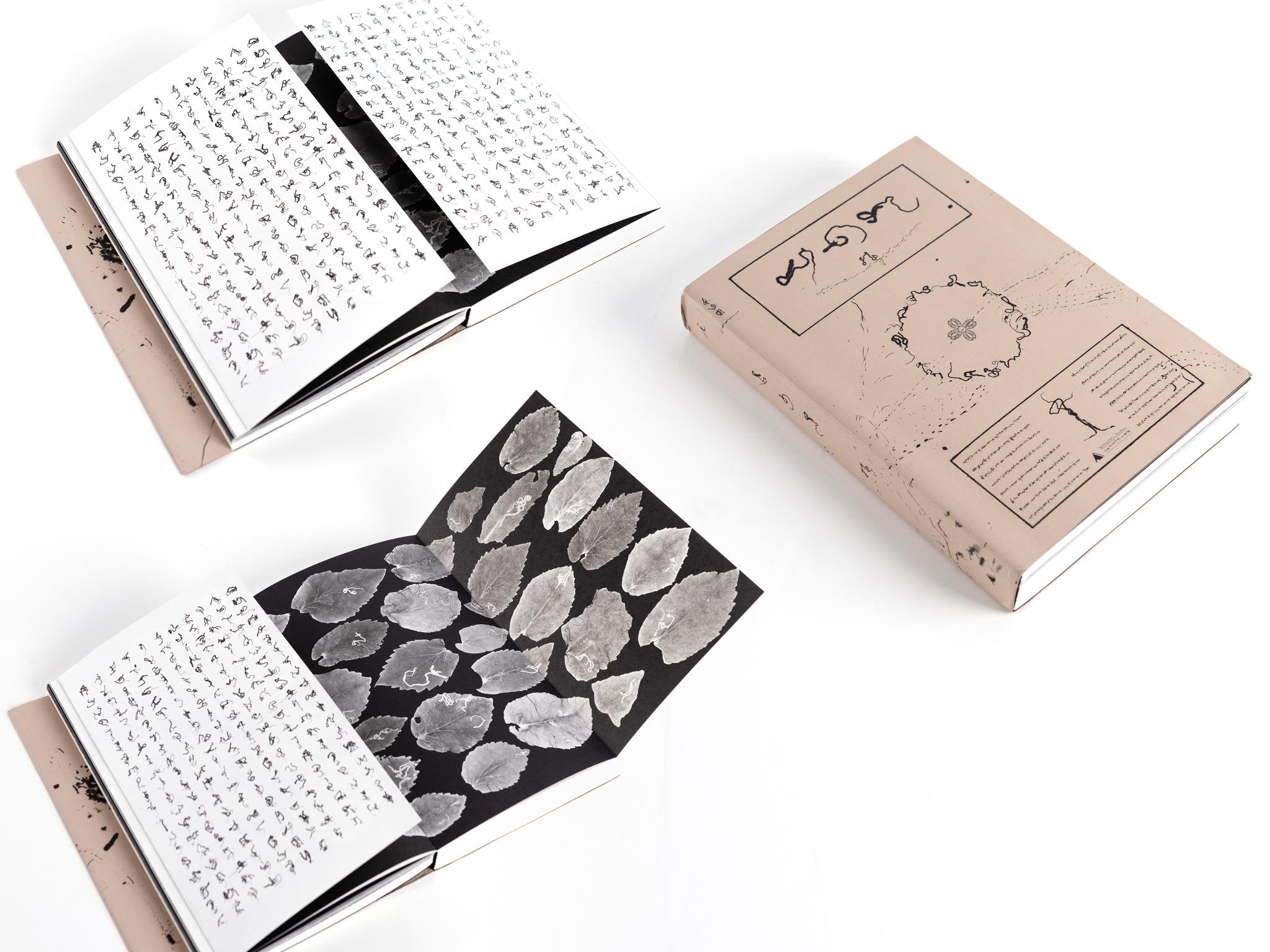 《虫子书》而《便形鸟》源于朱赢椿一次被鸟粪砸中的经历.