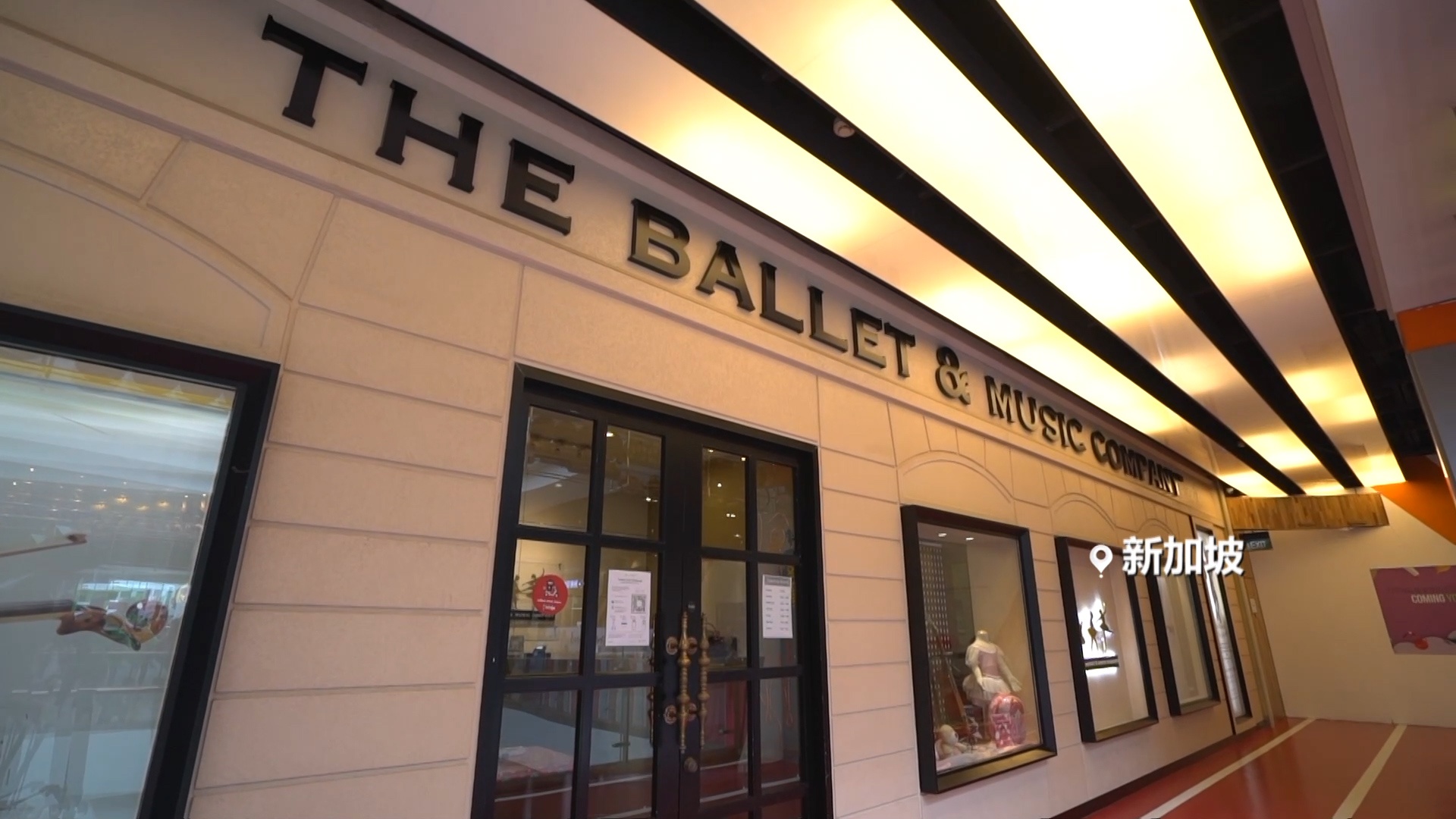 视频进博会助力新加坡乐翻天舞进中国市场