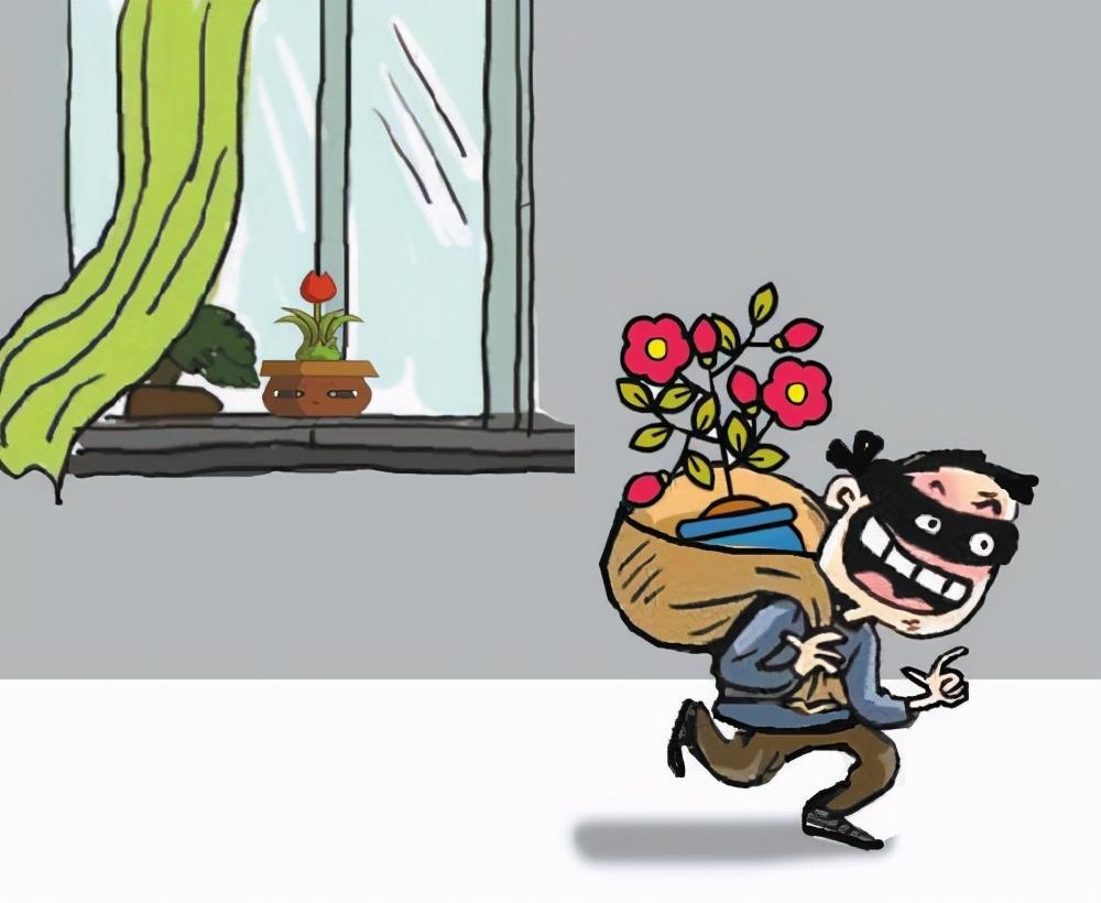 偷花贼专顺商户盆栽判刑