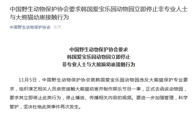 中国野生动物保护协会要求韩国爱宝乐园动物园立即停止非专业人士与大熊猫幼崽接触行为休闲区蓝鸢梦想 - Www.slyday.coM