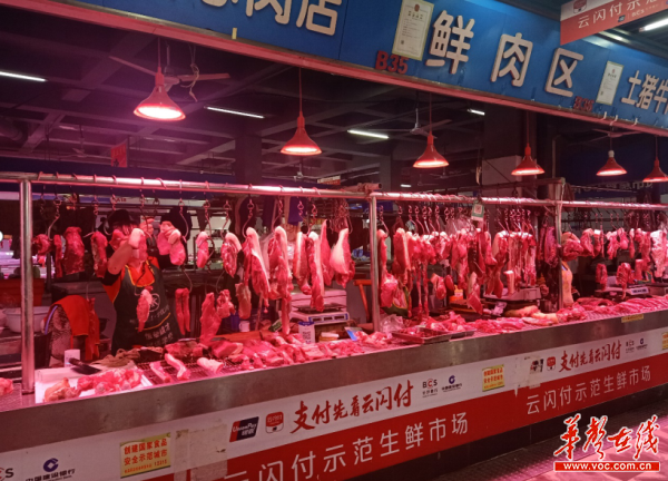 小香猪：现代养殖业的新宠