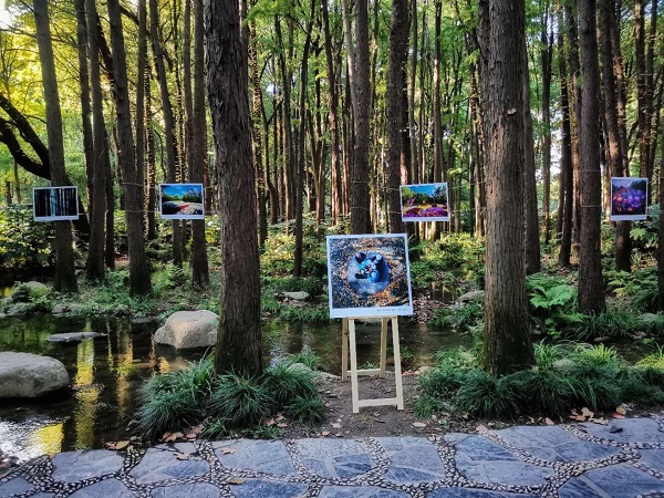 共青生态摄影展室外举行游客获沉浸式体验