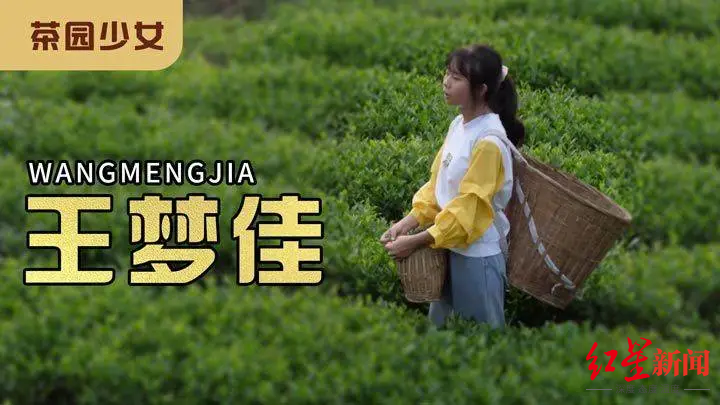 采茶照顾爷爷奶奶四川眉山16岁高中生王梦佳荣获2020最美孝心少年