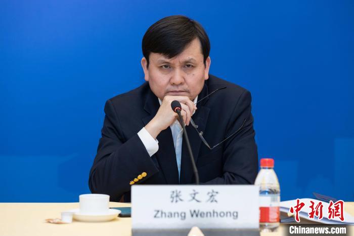 张文宏在连线中。驻杜塞尔多夫总领馆供图