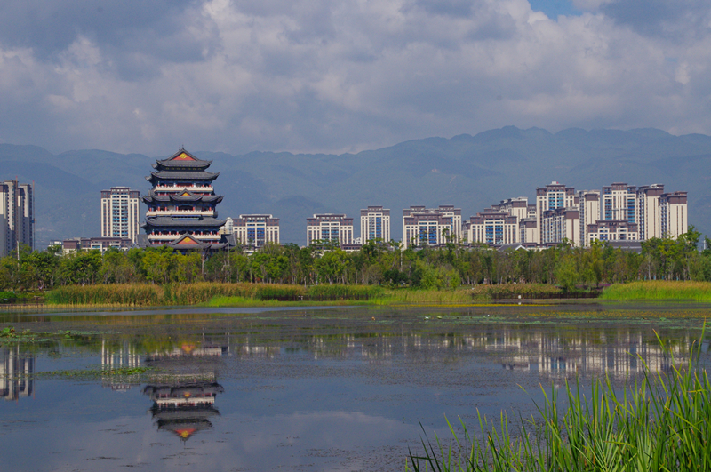 候鸟云集处人来鸟不惊云南保山青华海湿地人鸟和谐记事
