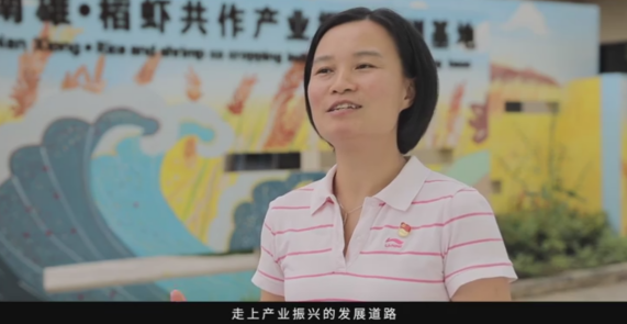 古市镇党委书记朱慧表示,碧桂园的稻虾共作产业对于当地的乡村振兴