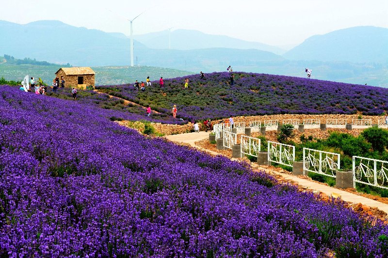 最浪漫航空飞行基地的前世今生,宋香园九山探秘