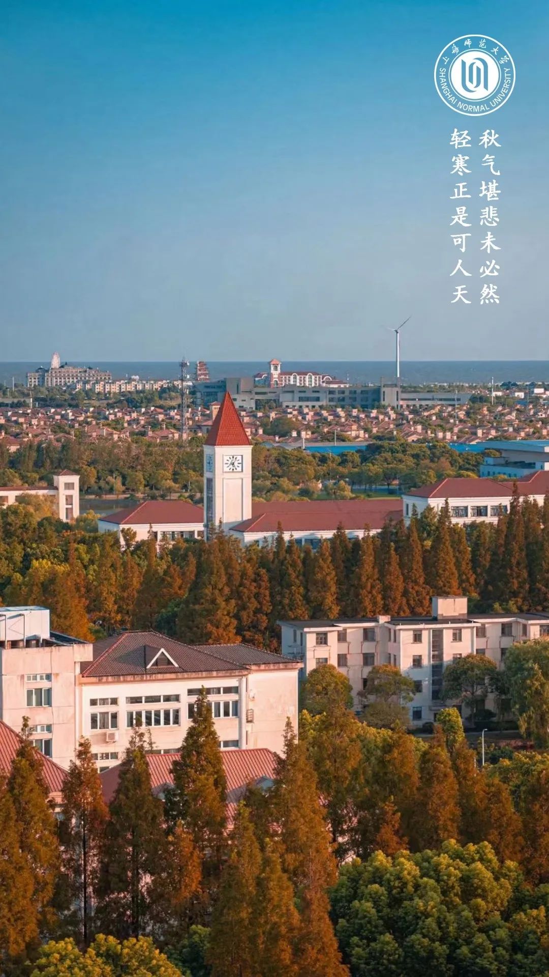 23%)大学上海海洋大学华东政法大学上海体育学院上海戏剧学院上海音乐