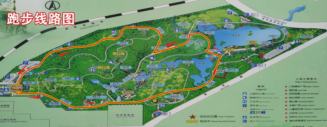 江南公园|南宁|花海_新浪新闻