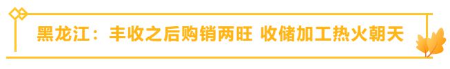 全国各地都在忙这件事，真“丰”光！