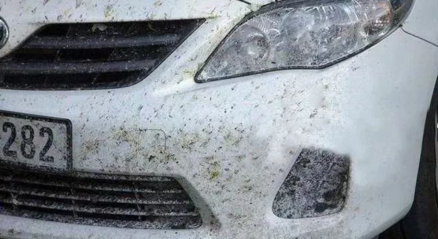 每逢高速长途开车后,这件事最让人头疼,手指头都抠破了