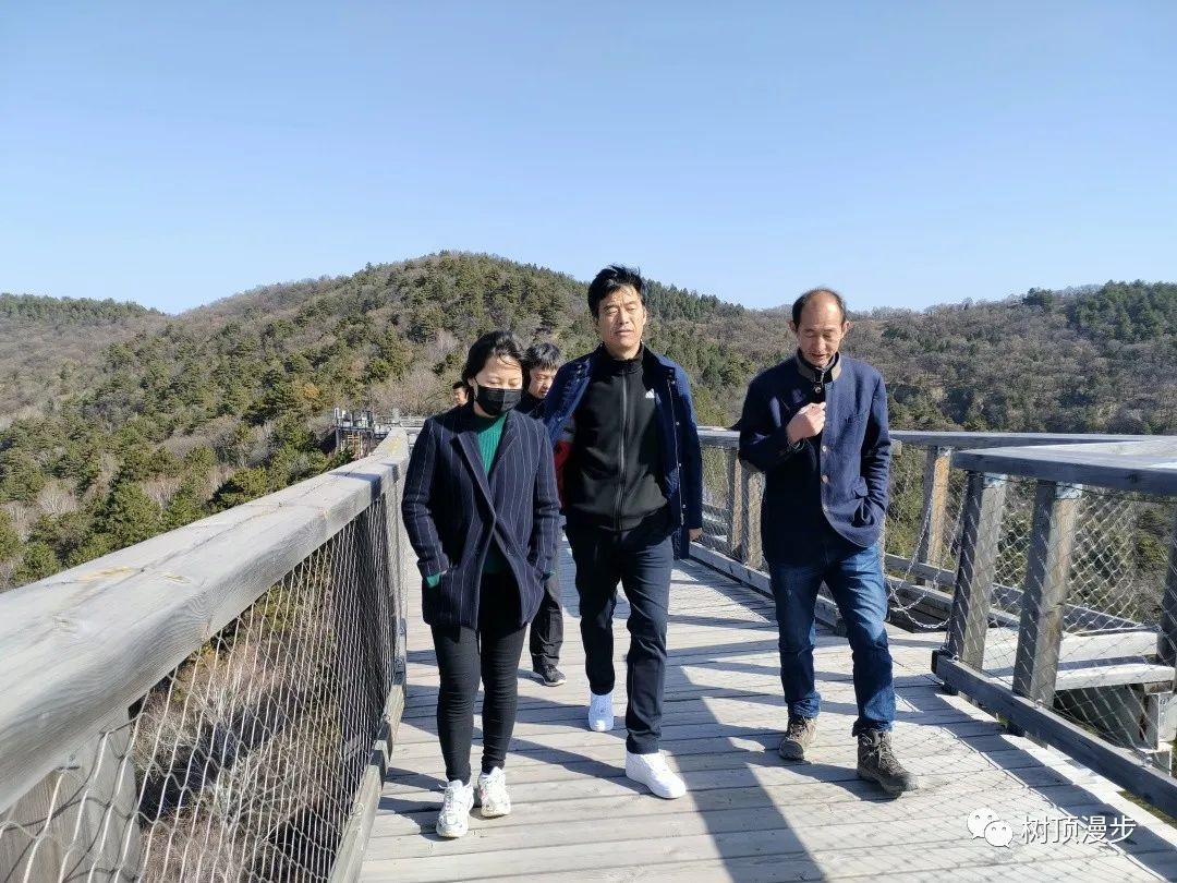 树顶漫步喜迎贵宾
