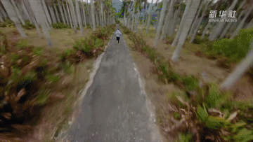 @致我们终将值得的青春｜“斜杠青年”特里的追梦之旅休闲区蓝鸢梦想 - Www.slyday.coM